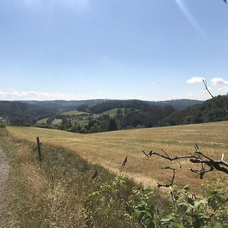 Gluehalm Willingen Villa Willingen  Bagian luar foto