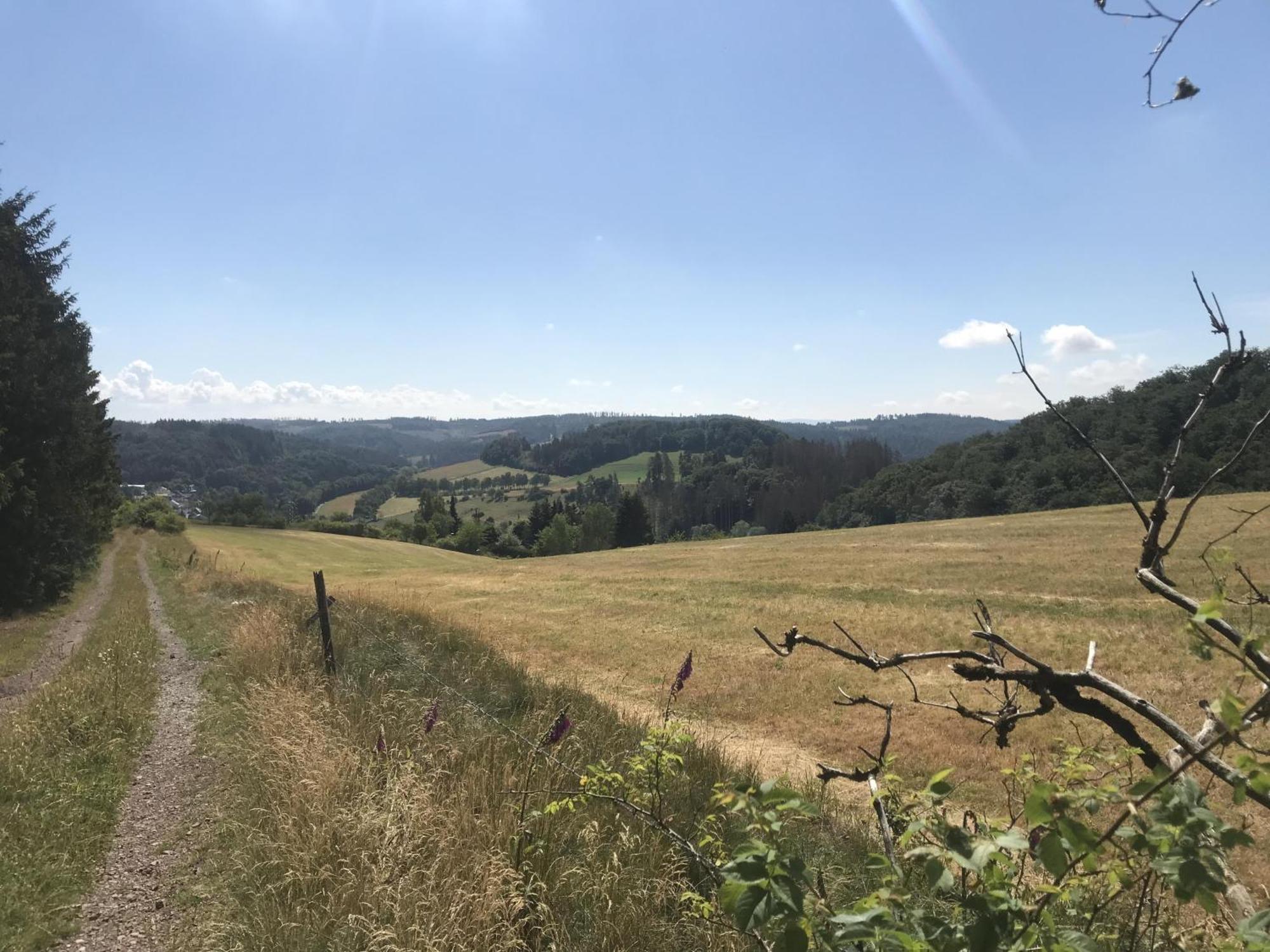 Gluehalm Willingen Villa Willingen  Bagian luar foto