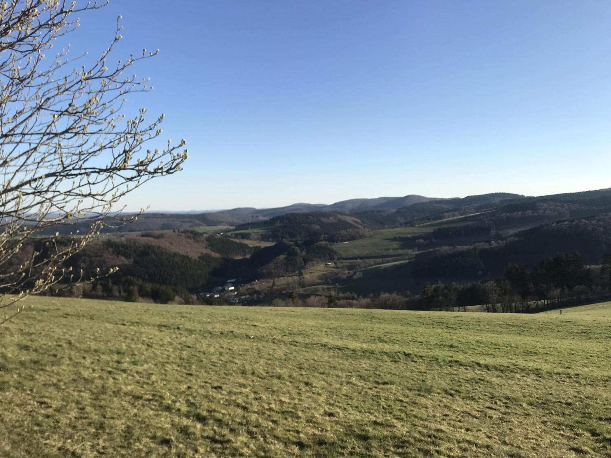 Gluehalm Willingen Villa Willingen  Bagian luar foto