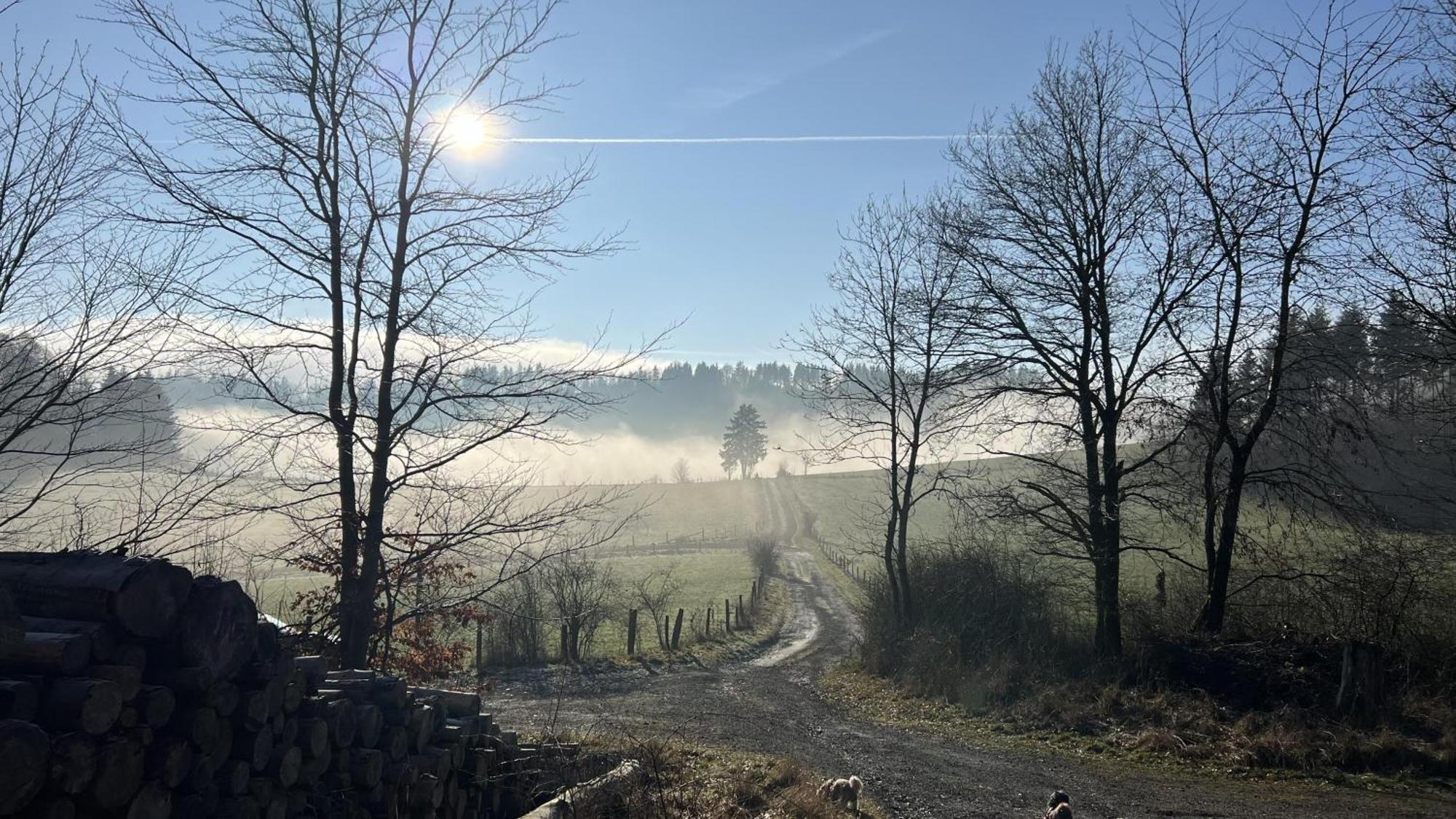 Gluehalm Willingen Villa Willingen  Bagian luar foto