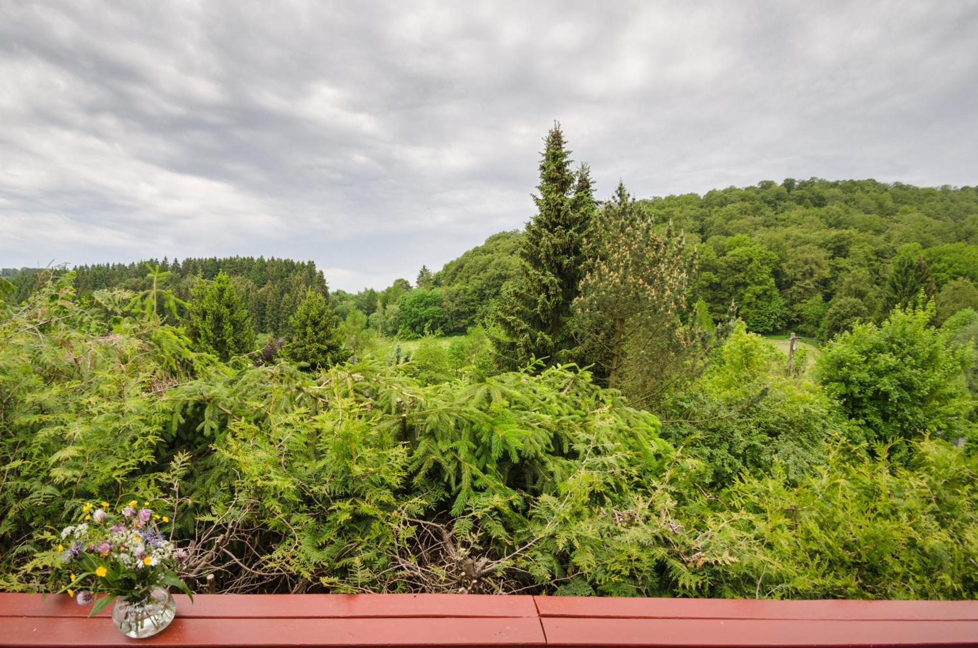 Gluehalm Willingen Villa Willingen  Bagian luar foto
